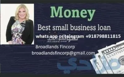 Leading online only with direct lenders